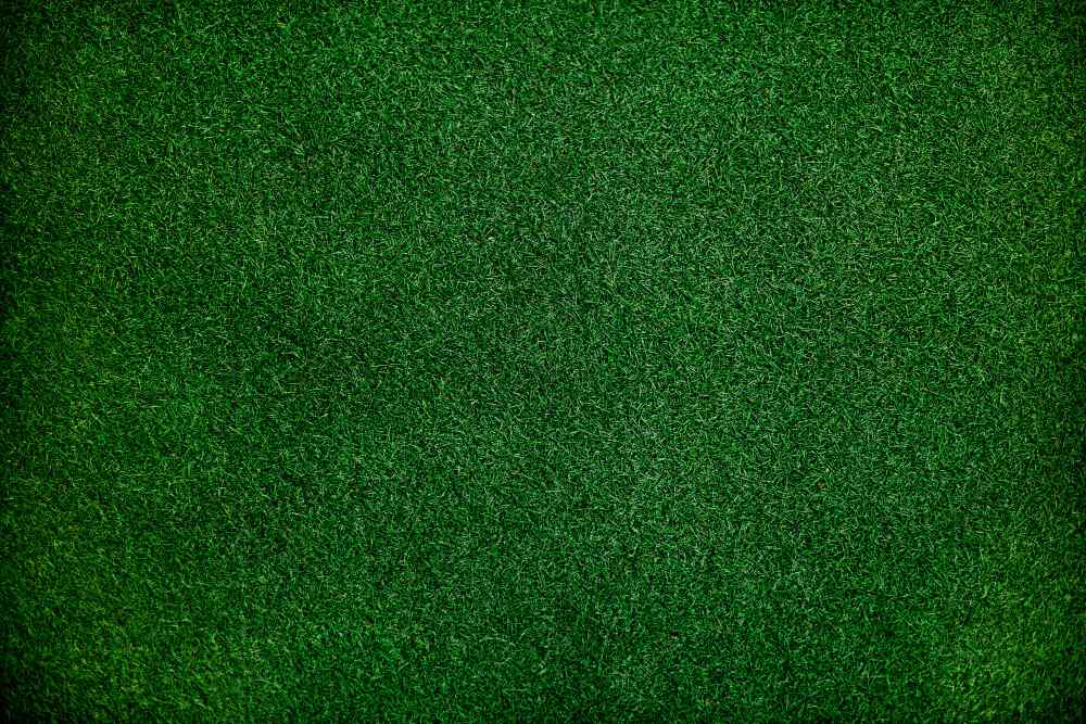green-fake-grass